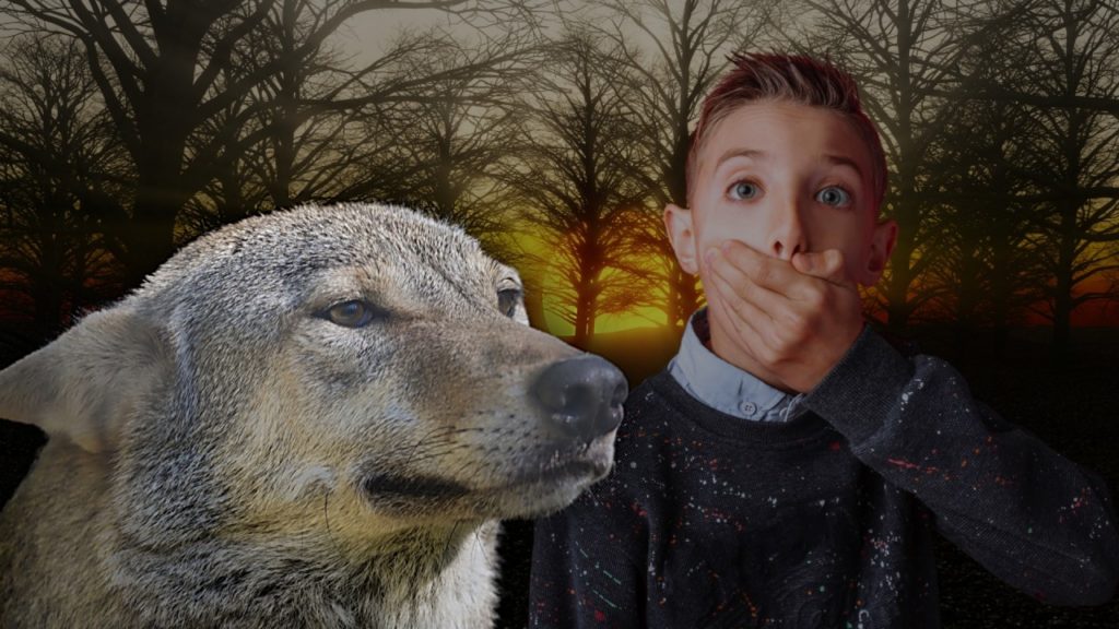 Превозмогая животный страх, мальчик решился пойти за ней следом – уж очень жалобно волчица смотрела в его глаза