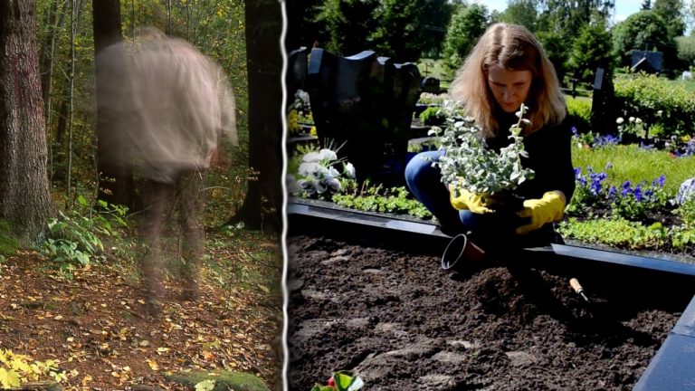 Женщина выкопала цветы на чужой могиле и пересадила на могилу отца – но за ней УЖЕ наблюдали