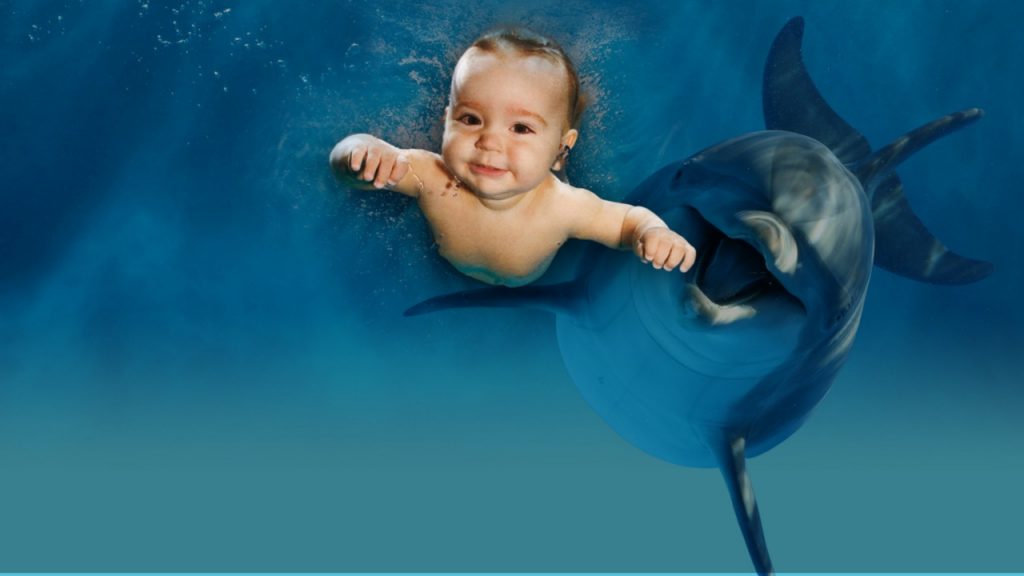 Так дельфины детей ещё НЕ спасали – и этому морскому герою место в Книге рекордов Гиннеса