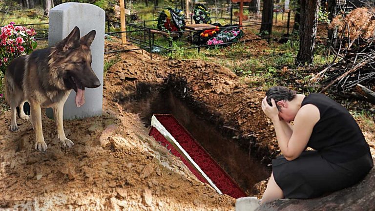 Прийшли на кладовище вранці – вінки розкидані, могила розрита ... І вівчарка дивиться в глибину, та люто скуголить!