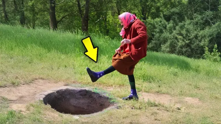 Рідний син покинув свою стареньку забудькувату матір прямо посеред лісу! І раптом згадує, що з нею була дорога золота каблучка – і повертається за здобиччю... Але ТАКОГО зовсім не чекав побачити!
