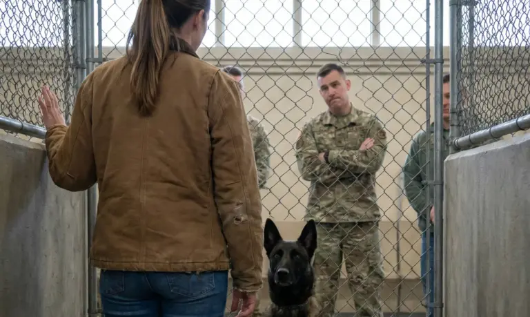 The Military Dog Obeyed No One Until the Female Veteran Gave One Simple Command
