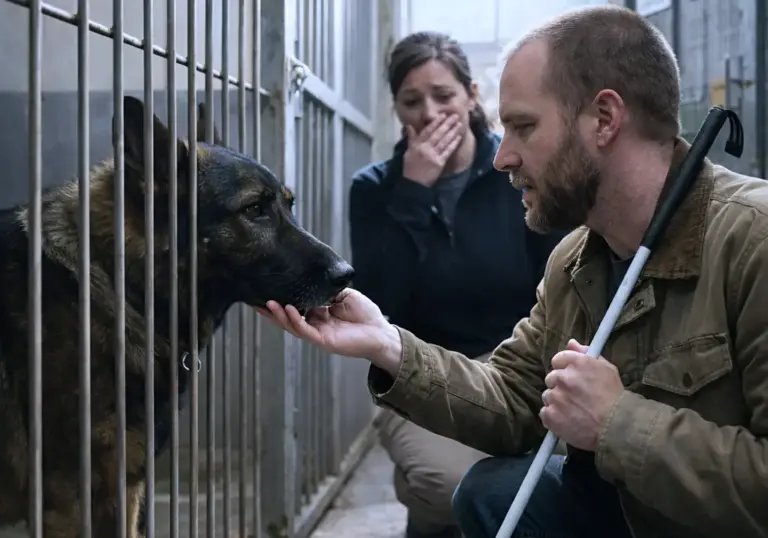 A Blind Veteran Met a “Dangerous” Retired Police Dog — What Happened Next Stunned Everyone
