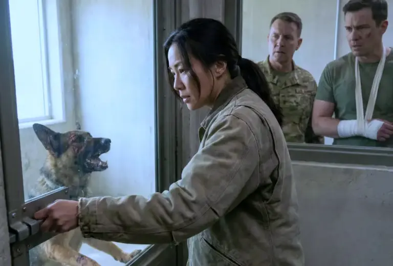 No One Could Control the Wild K9 — Until the SEAL Woman Stepped In and Did the Unthinkable