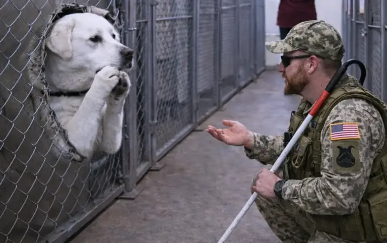 The shelter called him "impossible to reach." But this blind veteran felt a connection that no one else could see...