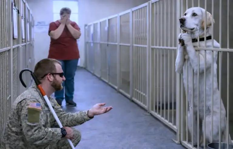 "He’ll tear you apart," they cried, begging the blind veteran to stay away from the cage. What he did instead left the entire canine unit in absolute disbelief