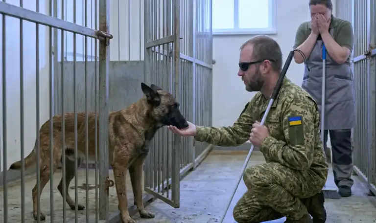 Слепой ветеран вошёл в вольер к самому опасному псу, которого хотели усыпить! То, что животное сделало дальше, заставило кинологов плакать…