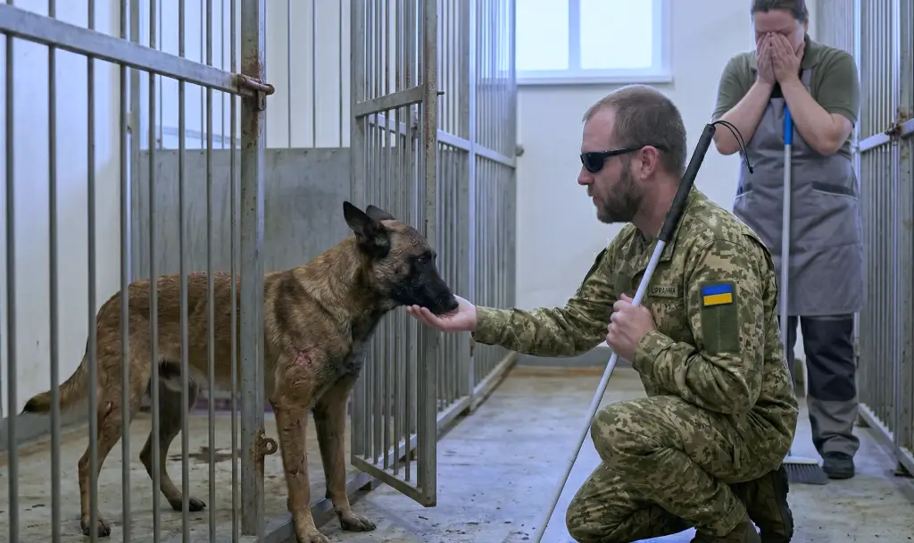 Слепой ветеран вошёл в вольер к самому опасному псу, которого хотели усыпить! То, что животное сделало дальше, заставило кинологов плакать…