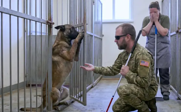 They Told This Blind Veteran to Run from the Shelter’s Most Dangerous Dog! What He Did Next Left Staff in Tears...