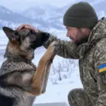 Вівчарка замерзала на трасі, захищаючи дітей! Військовий зупинився допомогти і розкрив страшну таємницю однієї родини...