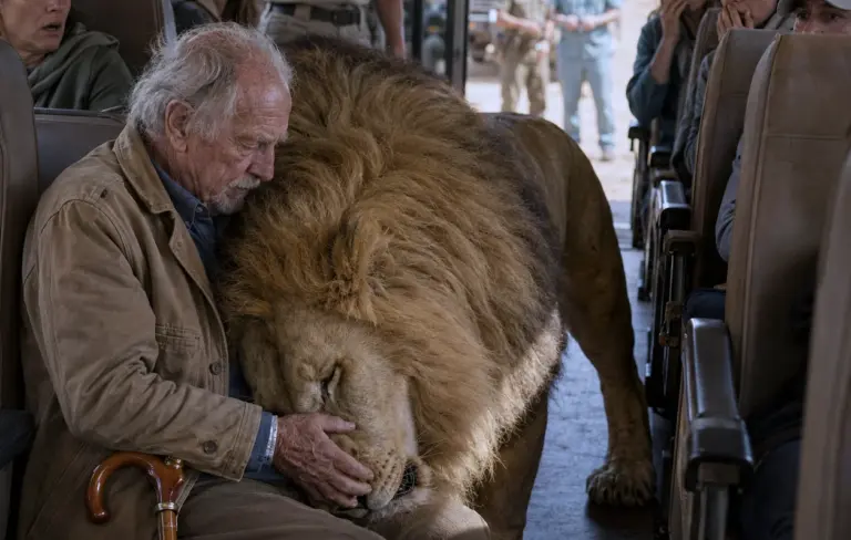 A Lion Climbed Onto a Safari Shuttle Full of Terrified Tourists—Then Walked Straight to One Elderly Man and Put Its Head in His Lap