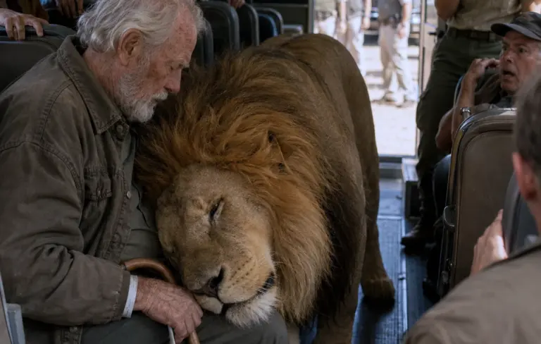 A Lion Walked Into a Safari Bus Full of Strangers! Then He Ignored Everyone and Chose One Elderly Man...