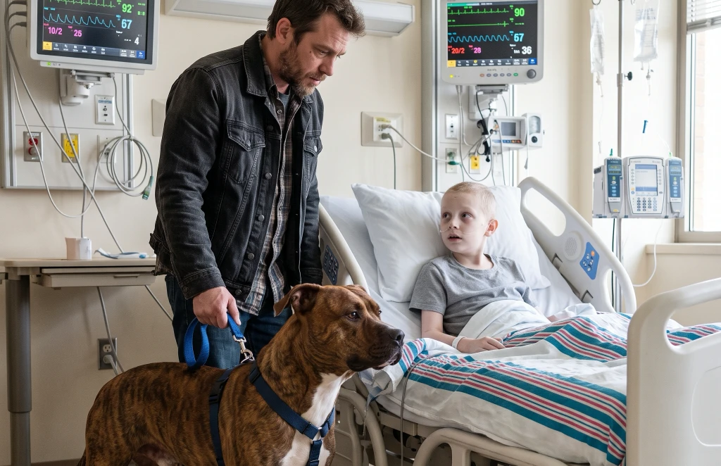 My Son Had Barely Slept for Two Weeks. His Pit Bull Was Given Thirty Minutes Beside His Hospital Bed